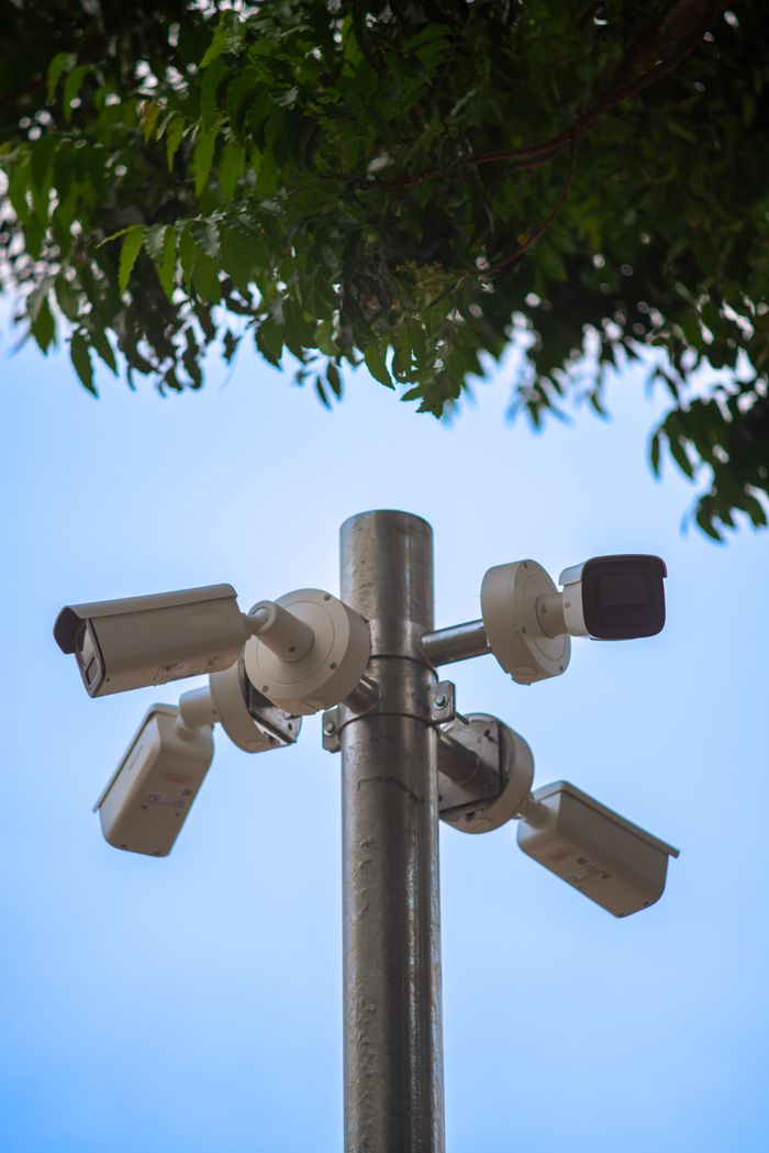Multiple security system cameras mounted on a metal pole under a tree, ensuring public safety.